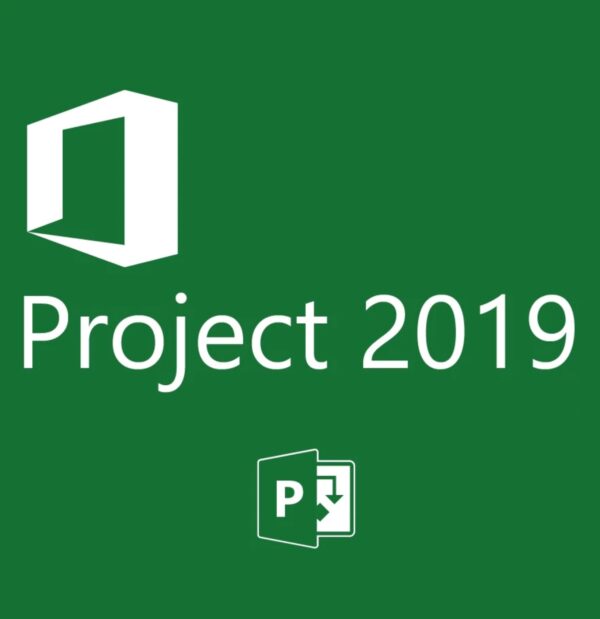 Microsoft Project 2019 (Standard/Professional)