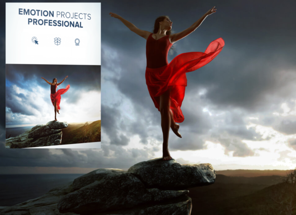 EMOTION Projects Professional (PC)