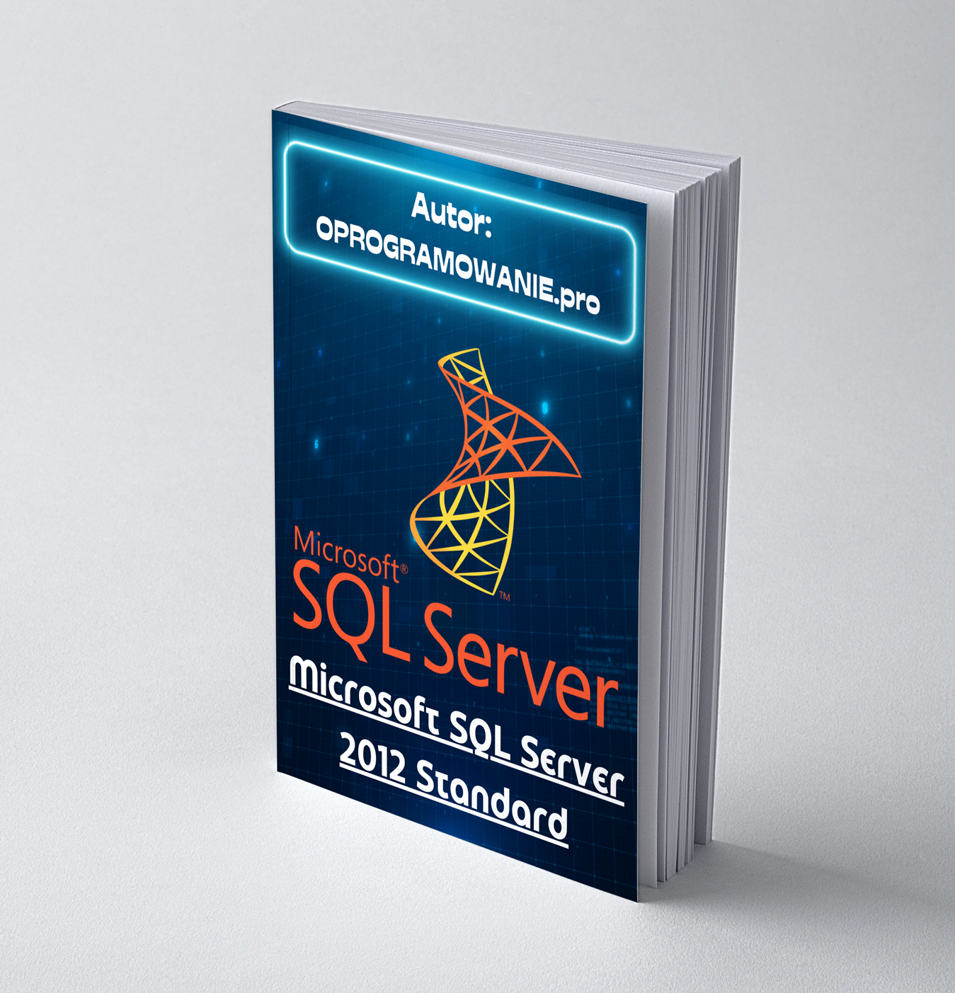 Microsoft SQL Server 2012 Standard (PC)